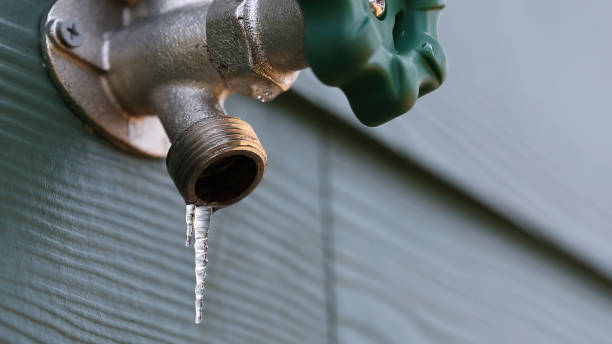 Best Leak Detection Services  in Goose Creek, SC